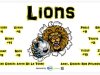 3x5 soccer banner