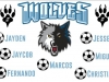 custom-soccer-banner-design-simi-valley