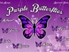 puple butterflies soccer banner simi valley