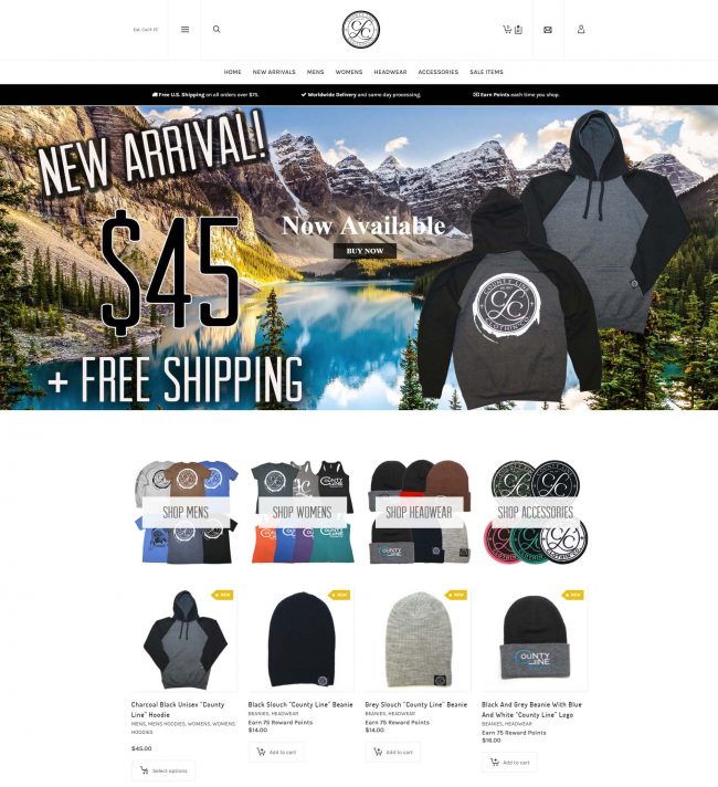 Custom Ecommerce Web Design and Development in Simi Valley CA