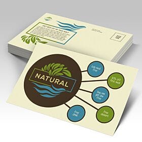 Cream natural stock postcards with botanical designs